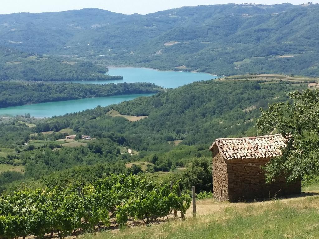 Al Merlo Olivo, Rural Istrian House Buje Exterior photo