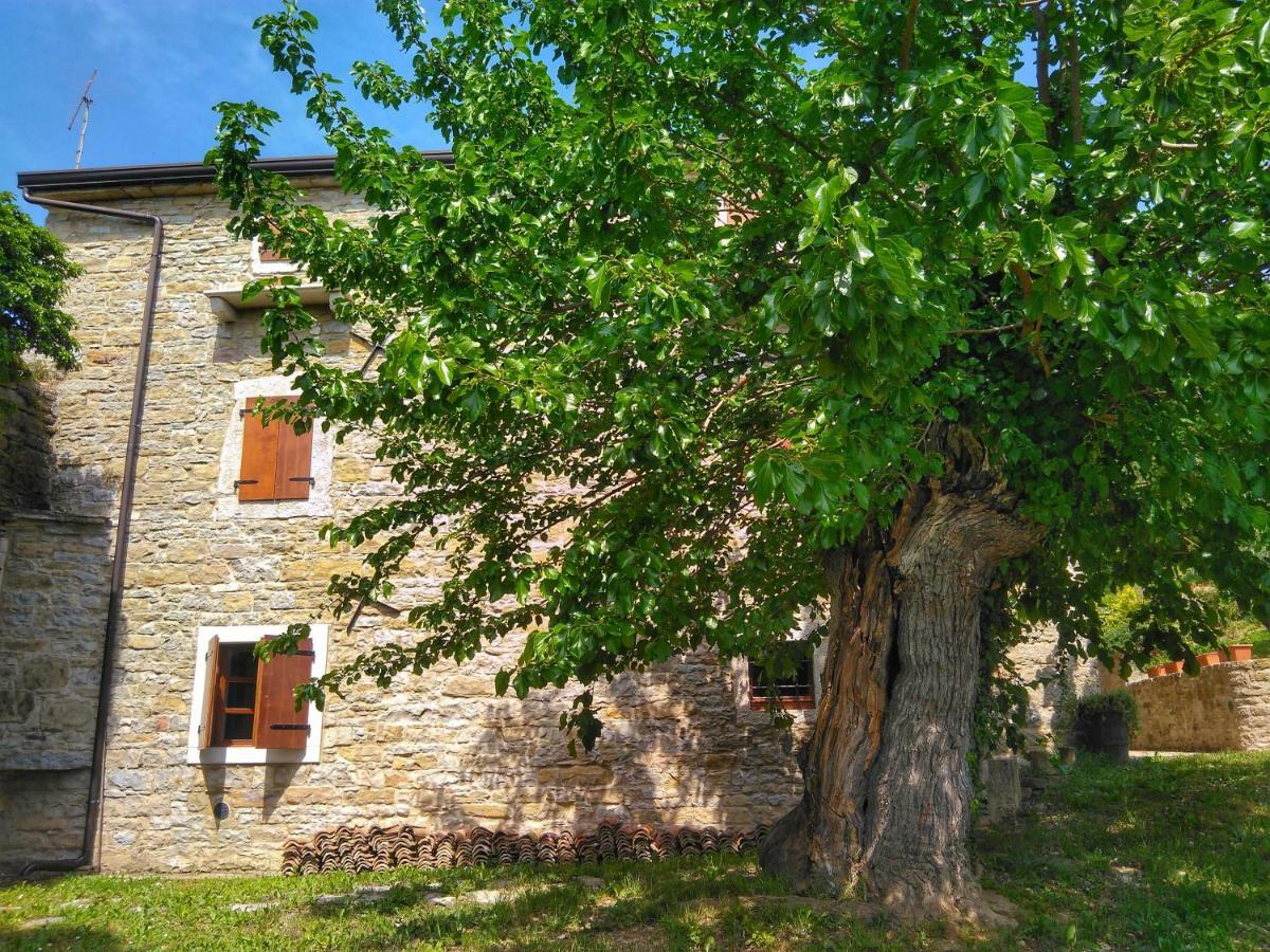 Al Merlo Olivo, Rural Istrian House Buje Exterior photo