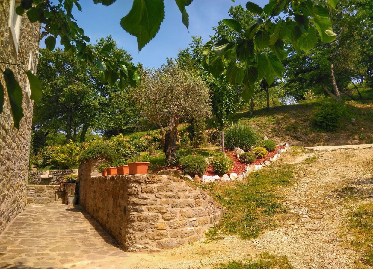 Al Merlo Olivo, Rural Istrian House Buje Exterior photo